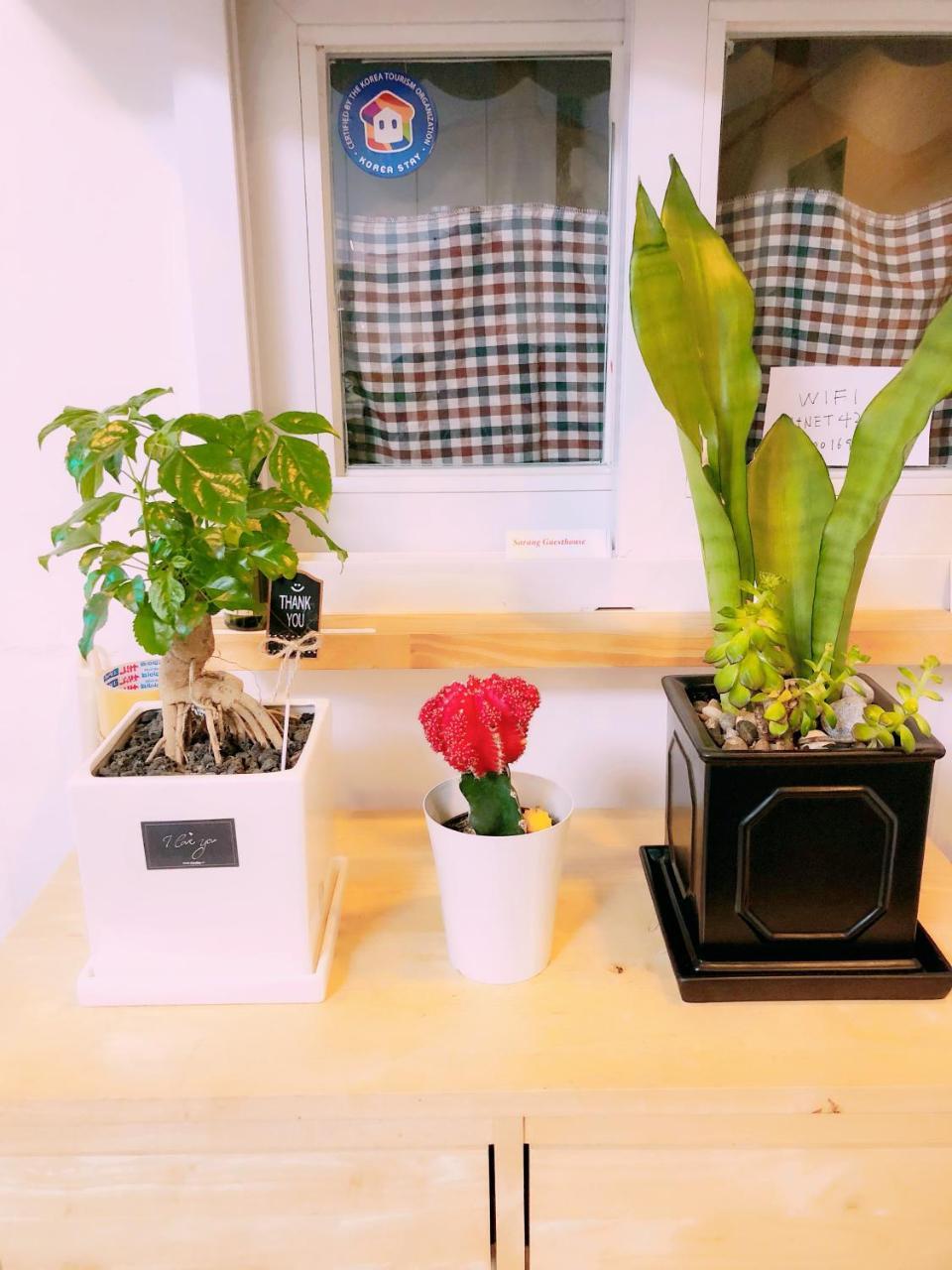 Sarang Guesthouse Dongdaemun Сеул Экстерьер фото